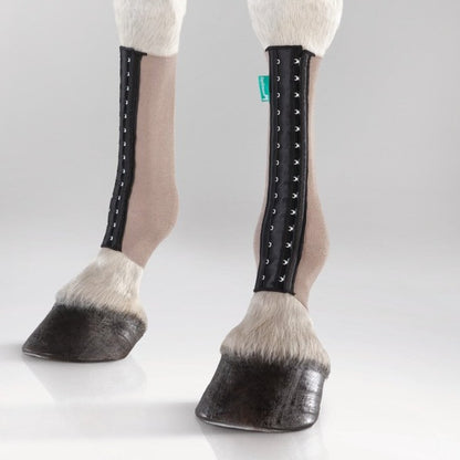 EquiCrown® FIT SILVER
