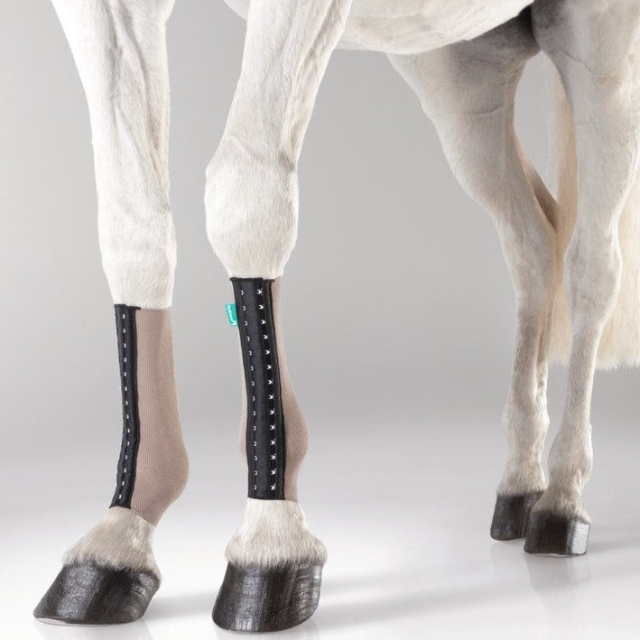 EquiCrown® FIT SILVER