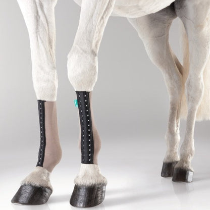 EquiCrown® FIT SILVER