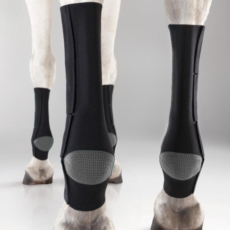 EquiCrown® ACTIVE