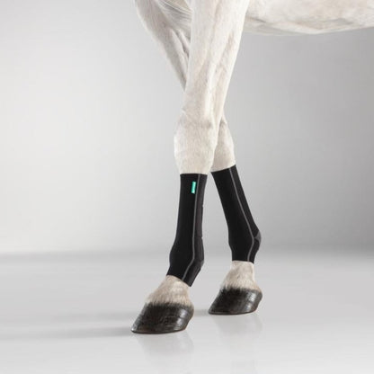 EquiCrown® ACTIVE