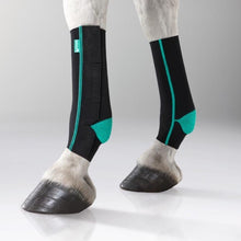 EquiCrown® ACTIVE