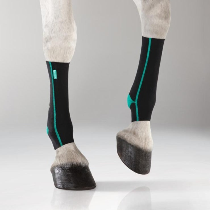 EquiCrown® ACTIVE