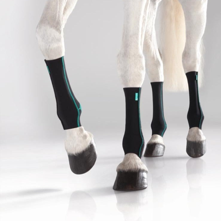 EquiCrown Active Postérieur, bandes de compression cheval
