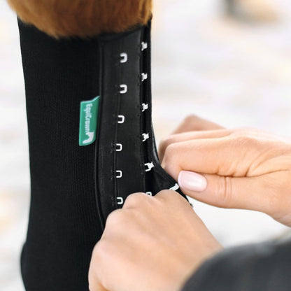 EquiCrown® FIT
