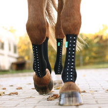 EquiCrown® FIT