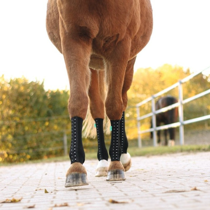EquiCrown® FIT