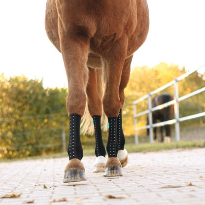 EquiCrown® FIT