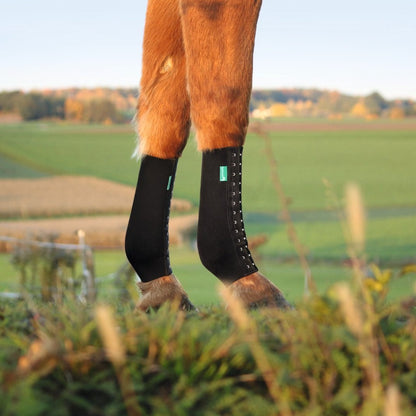 EquiCrown® FIT
