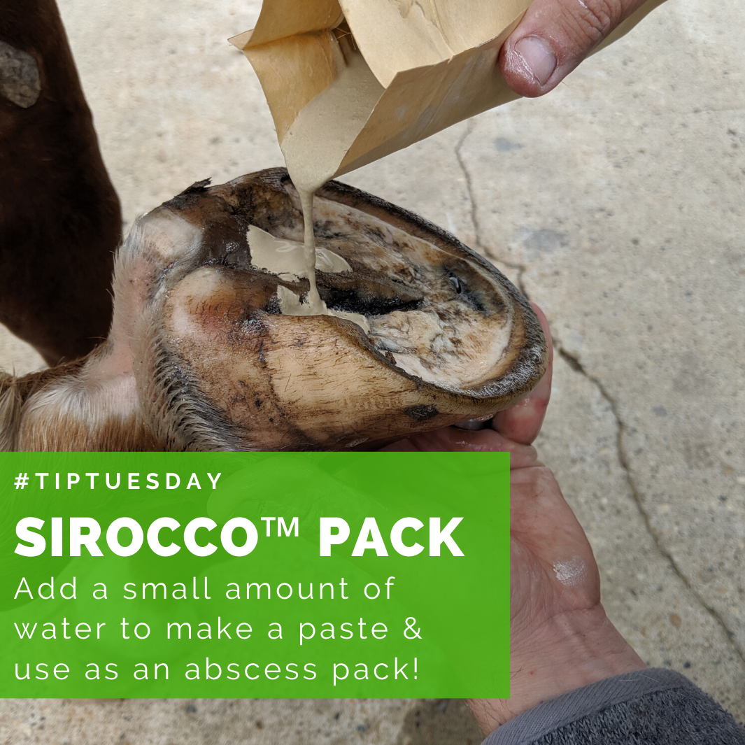 Sirocco Abscess Pack