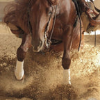 WHOA Dust Arena Dust Control