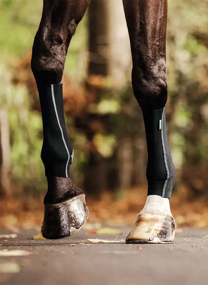 EquiCrown® ACTIVE