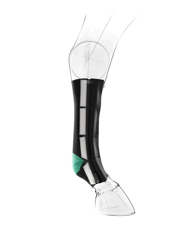 EquiCrown® ACTIVE