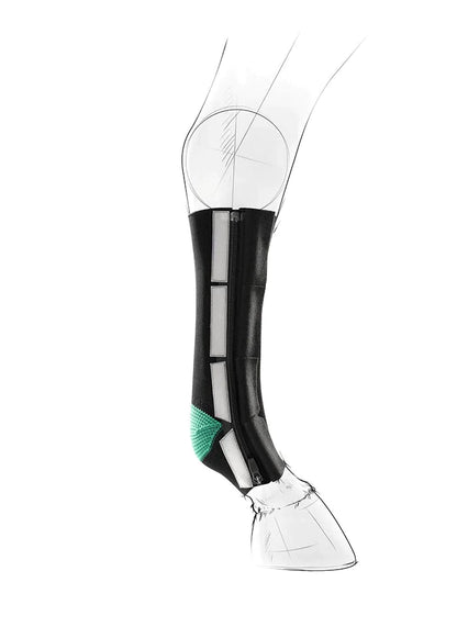 EquiCrown® ACTIVE