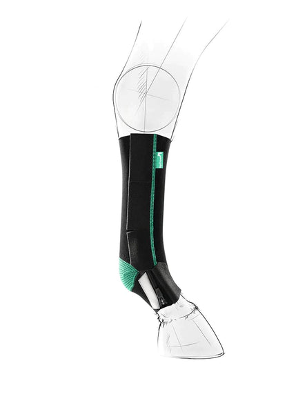 EquiCrown® ACTIVE