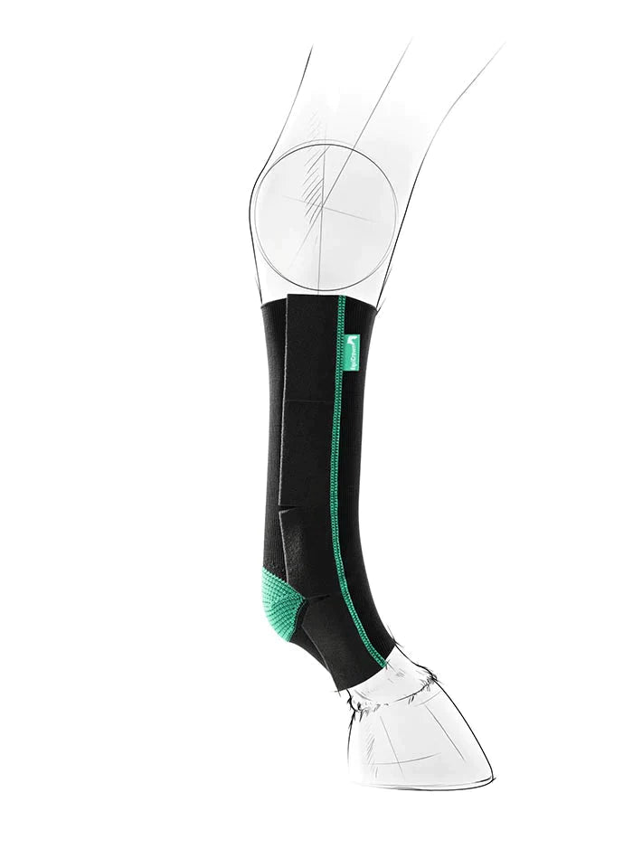 EquiCrown® ACTIVE