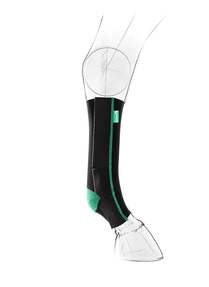 EquiCrown® ACTIVE