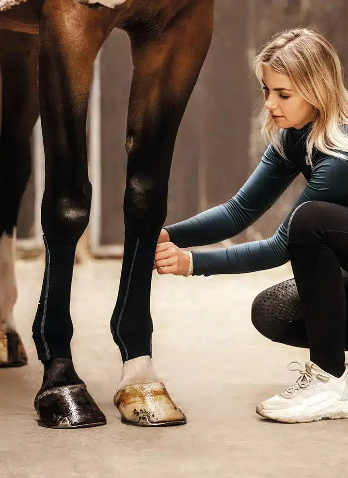 EquiCrown® ACTIVE