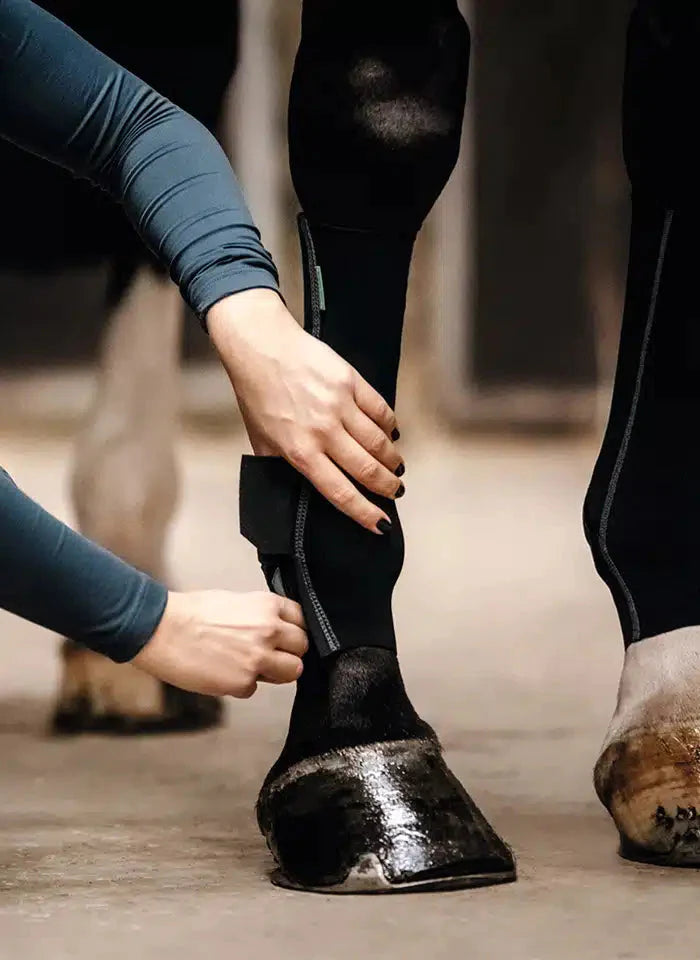 EquiCrown® ACTIVE