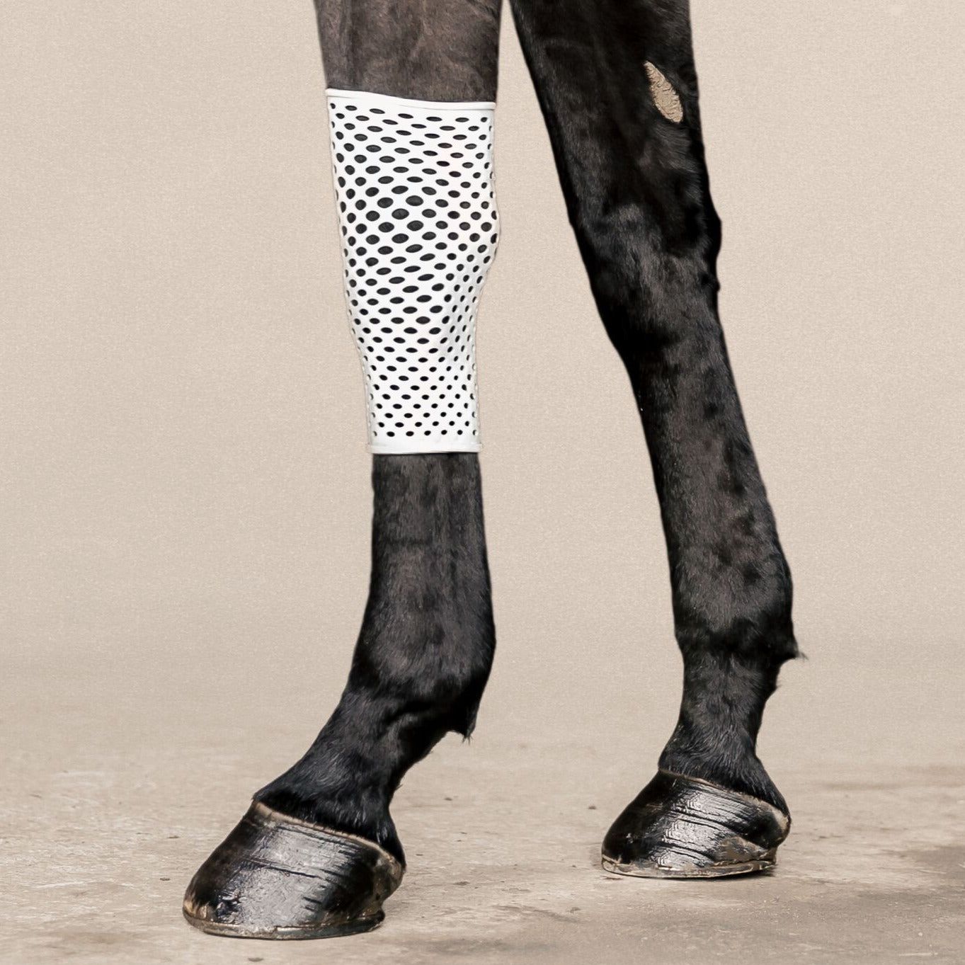 Vented Equine Bandage